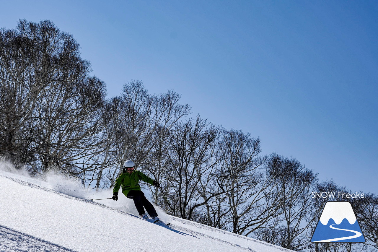 ニセコグラン・ヒラフ　もうすぐ4月。森林限界を超えると…、そこには『粉雪』が待っていました♪